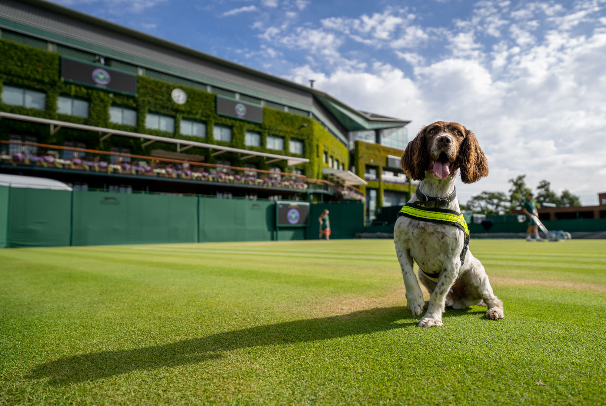 Wimbledon 2022: Five talking points from the week that was