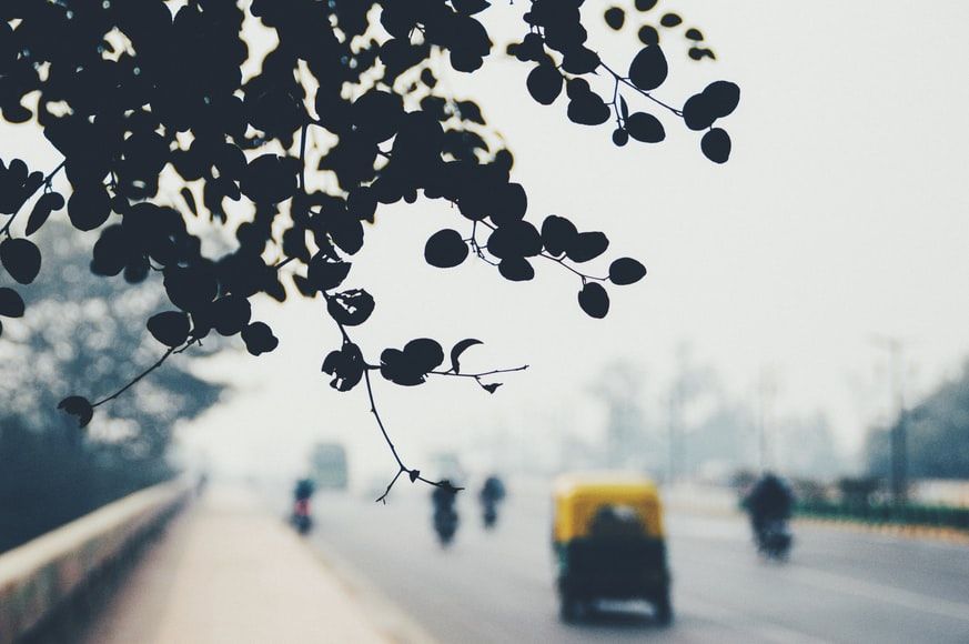 At 6 degrees Celsius, Delhi shivers – the coldest day of the season so far