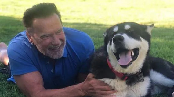 Arnold Schwarzenegger to star in first TV series