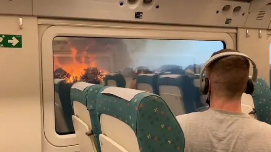 Heatwave in Europe: Watch how wildfire scares passengers in a Spanish train