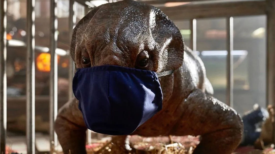 ‘Jurassic World: Dominion’ production stops after multiple COVID-19 positive tests