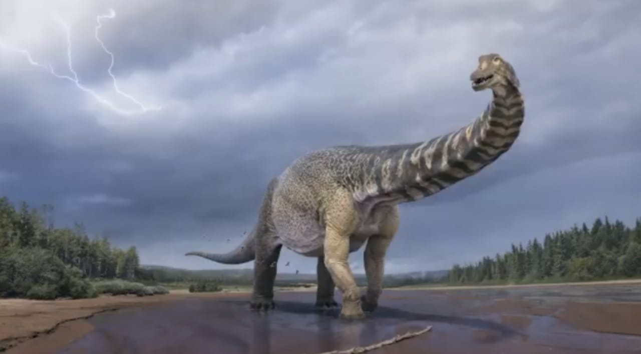 Meet Cooper, one of the largest dinosaurs to ever roam the Earth