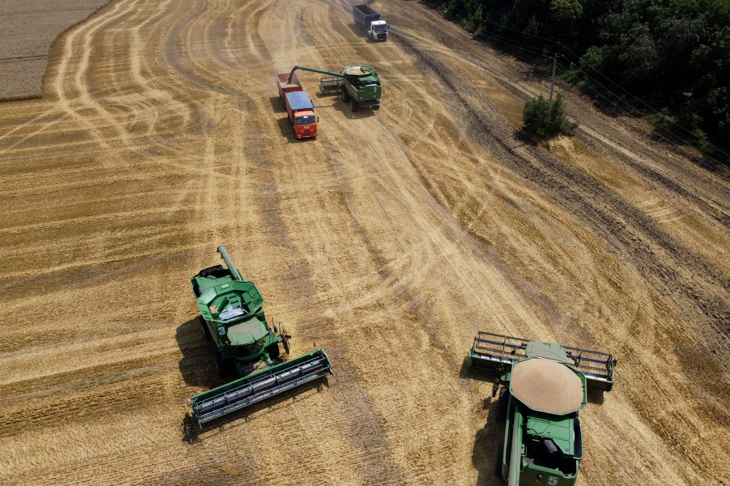Why the war in Ukraine will hurt poor nations importing grain: Explained