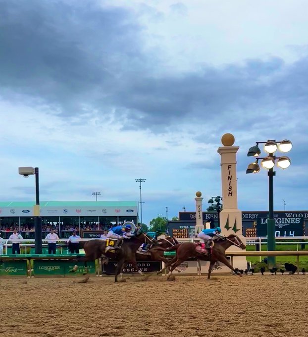 Kentucky Derby 2023: Why horses Chloe’s Dream, Freezing Point were euthanized?