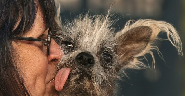 Who is Linda Elmquist, owner of Scooter, the ugliest dog of 2023?