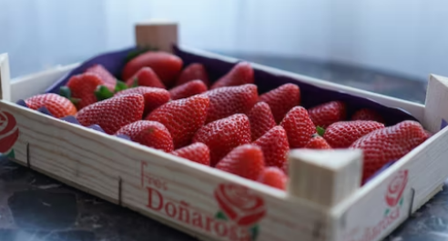 Willamette Valley Fruit Co recalls frozen strawberry products linked to Hepatitis A infections at Walmart and Costco
