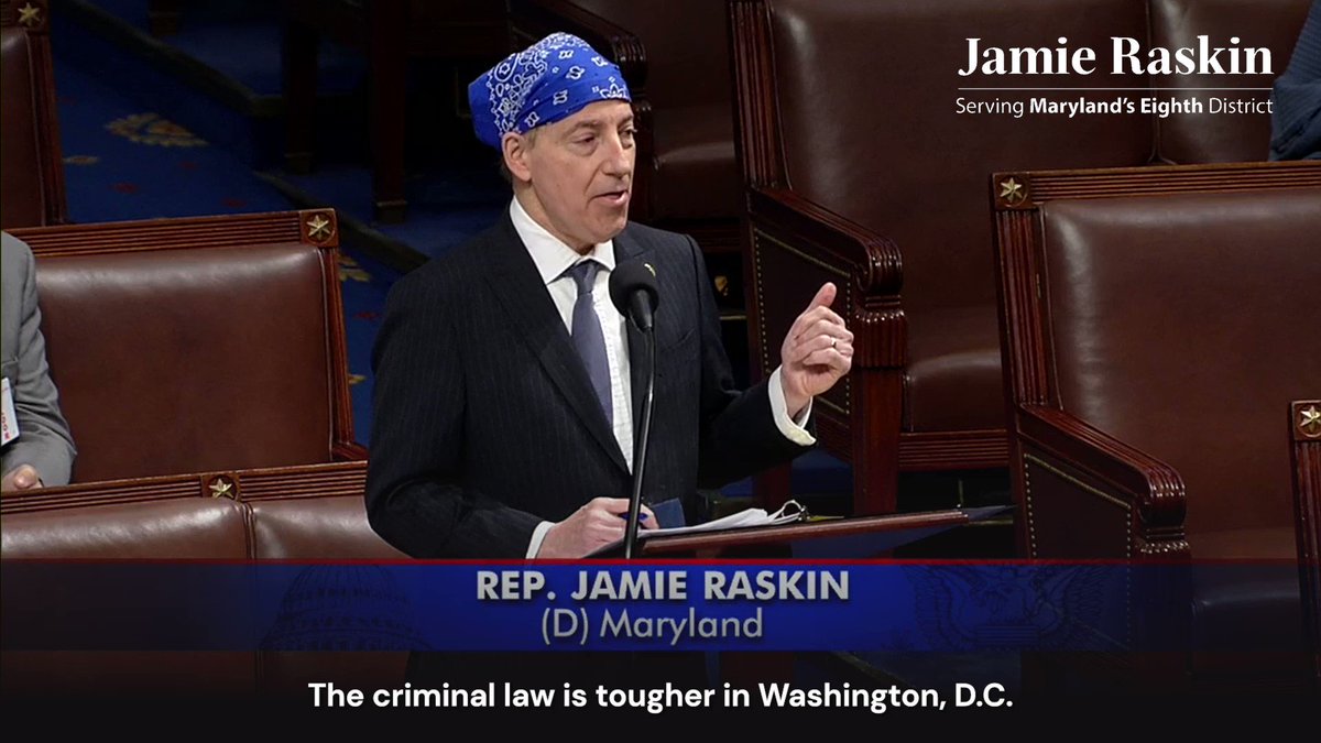 Who is Jamie Raskin? House Representative raises issues on Hunter Biden and Lev Pernas