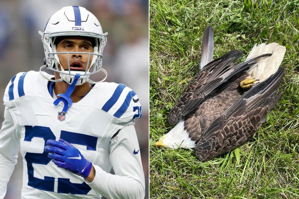 Who is Rodney Thomas? Father of Indianapolis Colts safety Rodney Thomas II arrested for killing bald eagle