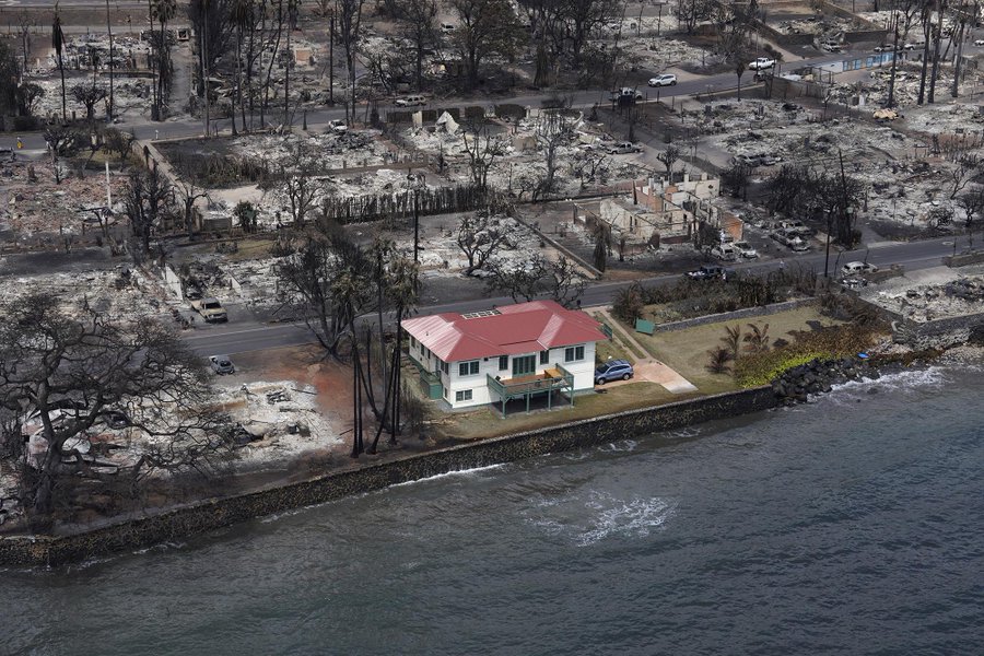 Billionaires’ houses in Maui reportedly seen unharmed by Hawaii wildfires| Watch Video