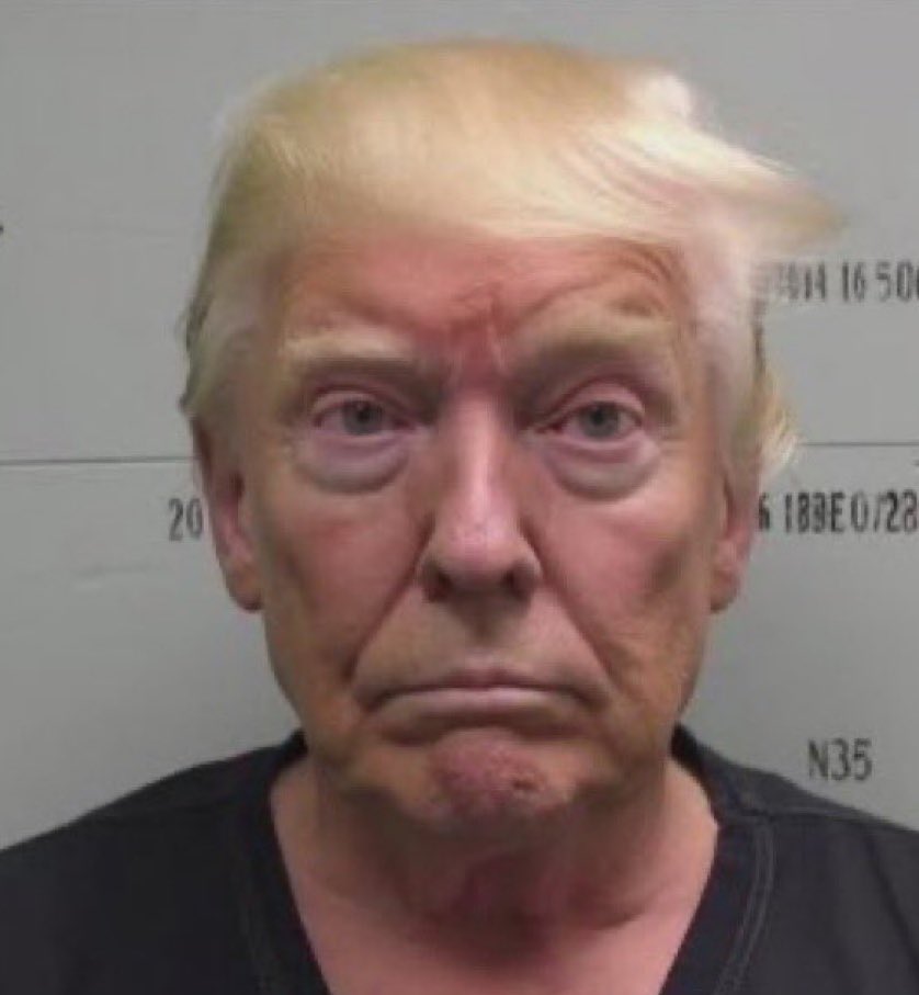 Trump’s Photoshopped mugshots go viral before surrendering in Fulton County, Georgia