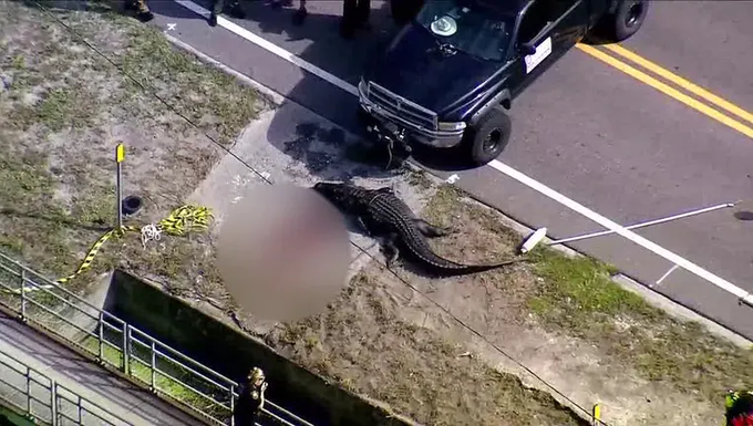 Who was Sabrina Peckham? Florida woman eaten by 13-feet alligator