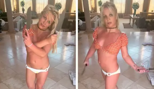 Fans want Britney Spears’ pet dogs removed from her home after dance with knives