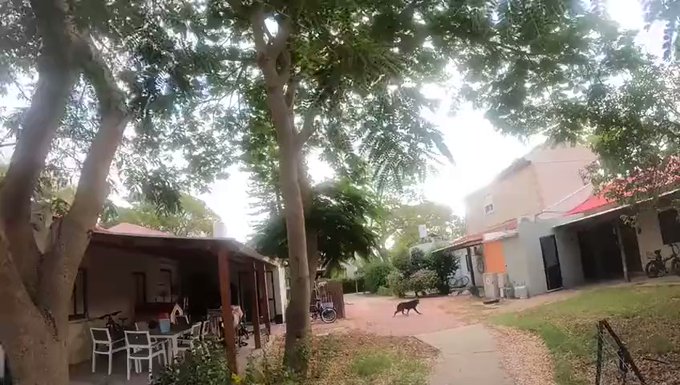 Hamas terrorists invade Kibbutz Kissufim, shoots dog and sets Israeli family’s house on fire: Watch Video