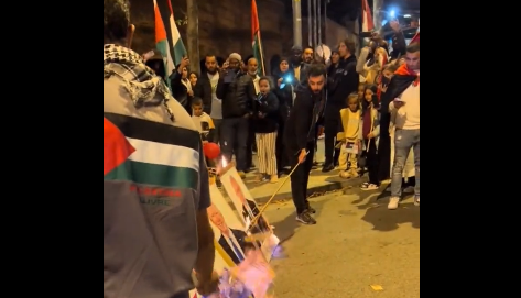 Pro-Palestine activists burn pictures of Joe Biden, EU President Ursula Von Der Leyen, and Israeli flags in Spain | Watch Video