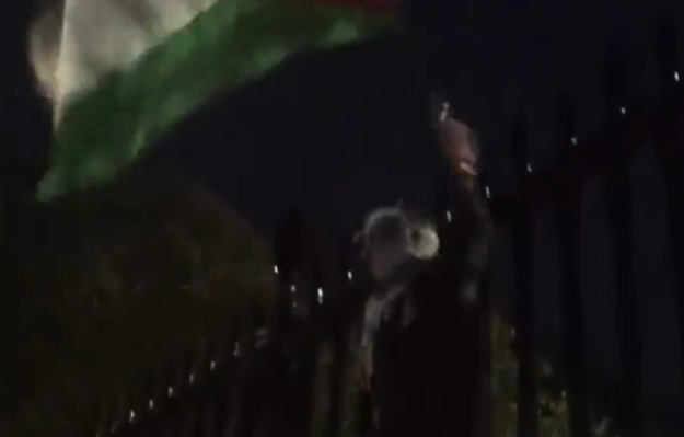 Pro-Palestinian protesters climbing the White House fence, hurling objects at the Secret Service in Washington DC: Watch Video
