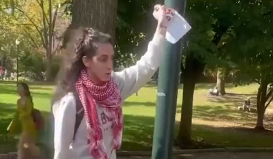 Who is Hana Odeh? UPenn faculty slammed for tearing down posters of kidnapped Israeli civilians by Hamas