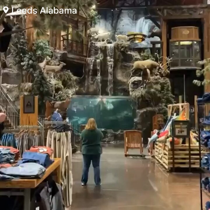 Who is George Owens? Alabama man gets arrested after taking dive naked into the fish aquarium at a Bass Pro Shop| Watch Video