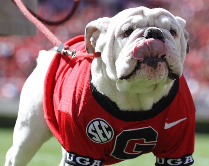 Who was Uga X aka Que? Former Georgia Bulldogs mascot dies