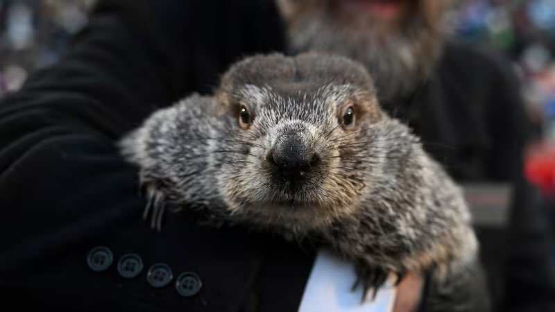 Groundhog Day 2024 Explained: What is its significance?